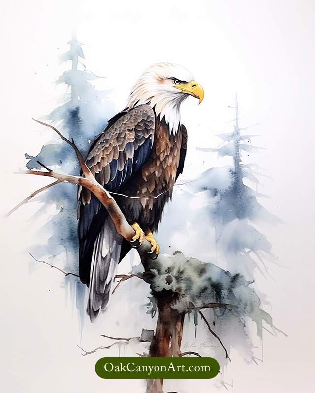 American Bald Eagle